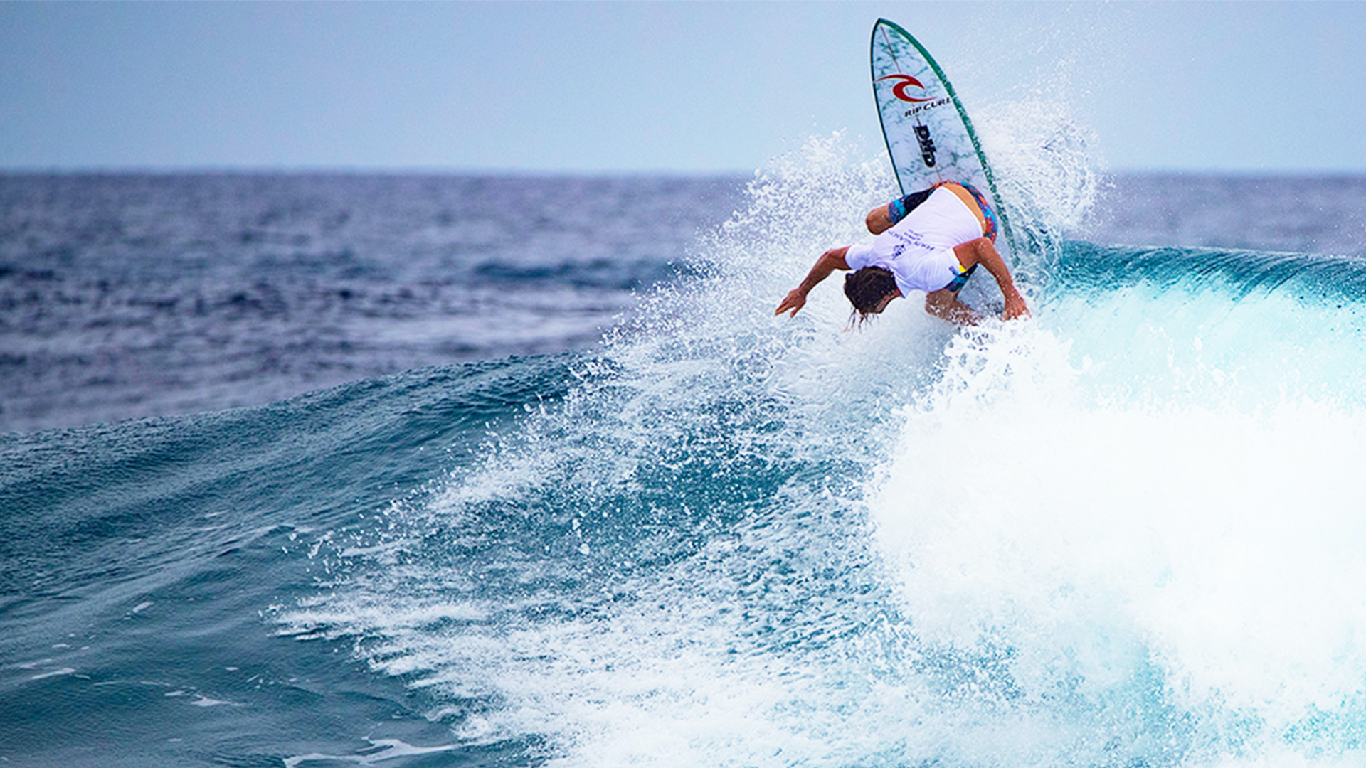 WILKO Turning Heads – DHD Surf