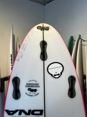 Isabella Nichols DNA 5'10 (105187)